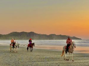 sunset horse tours on playa guiones, nosara, costa rica