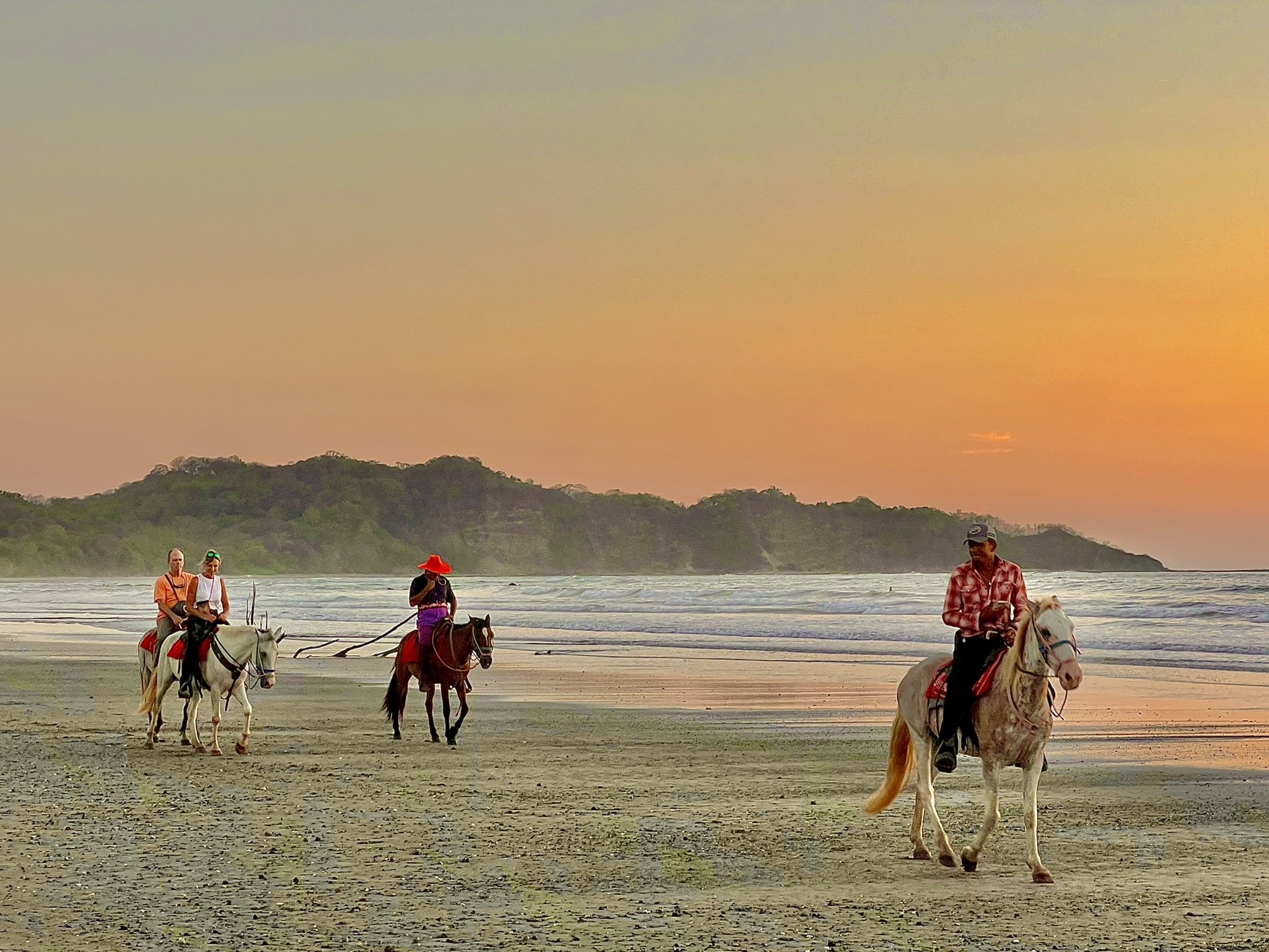 sunset horse tours on playa guiones, nosara, costa rica