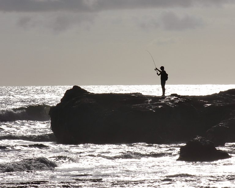 fishing-from-shore