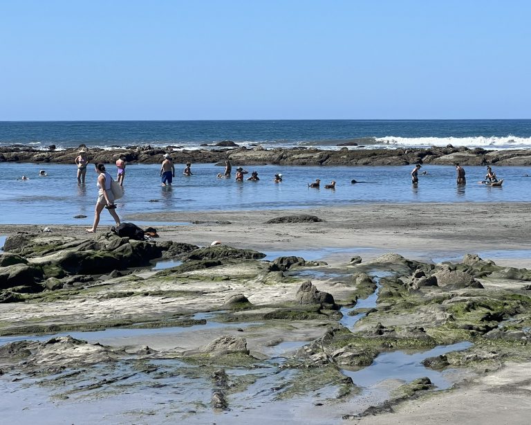 tidepool-fun