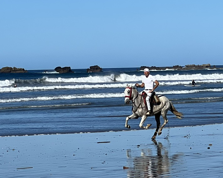galloping-horse2